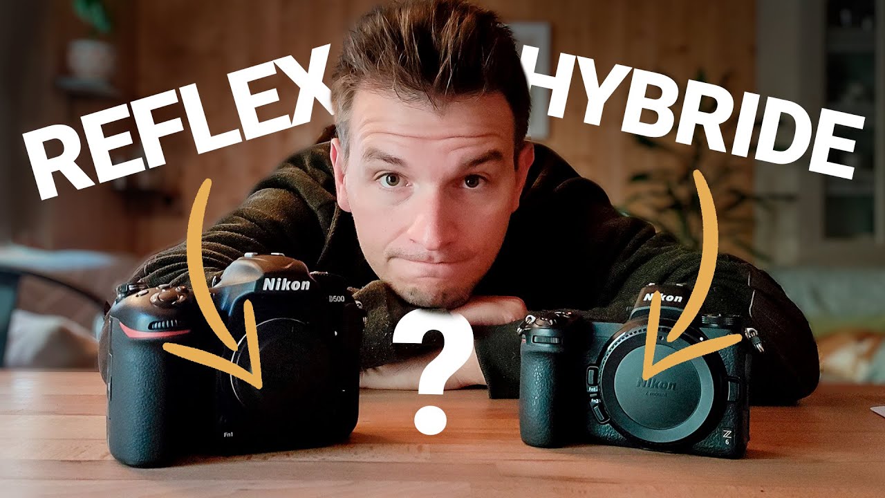 Reflex ou hybride : que choisir pour la photo animalière (en 2025) ?