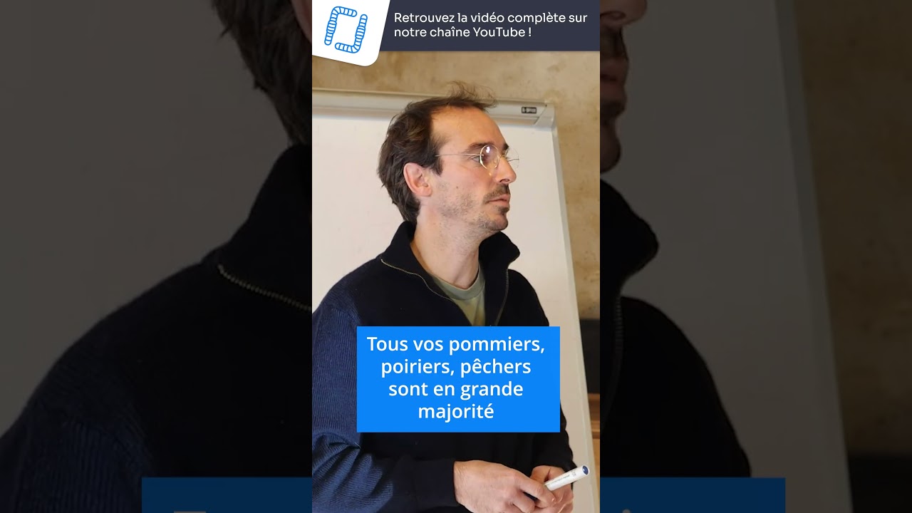 Comprendre les arbres pour mieux les tailler – Formation fruitiers avec Julien Coirier