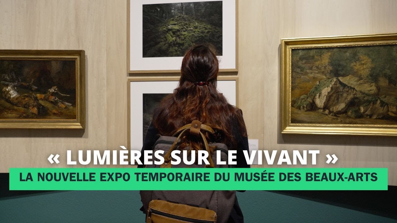 « Lumières sur le vivant », la nouvelle expo temporaire du musée des Beaux-Arts