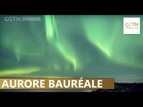 Une aurore boréale illumine le ciel au-dessus de l'Alaska