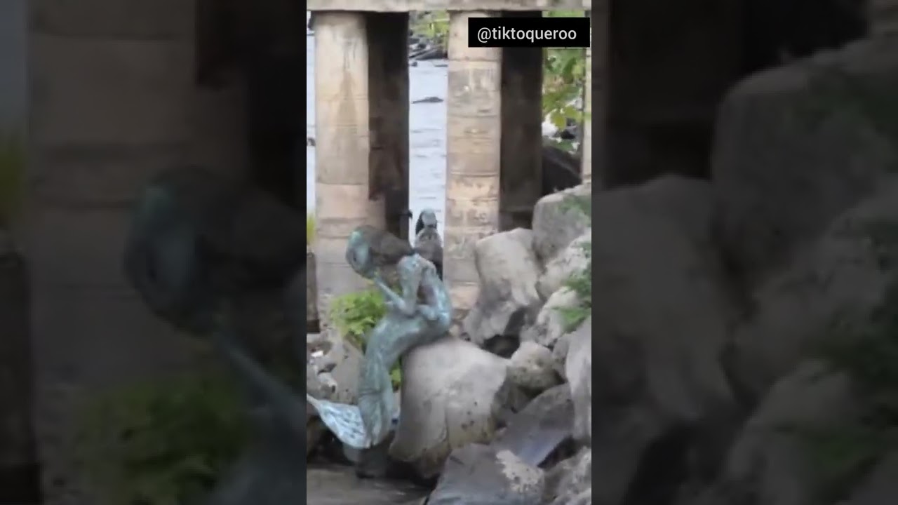 regardez le vrai sirène au fleuve Congo sur le pont ledya