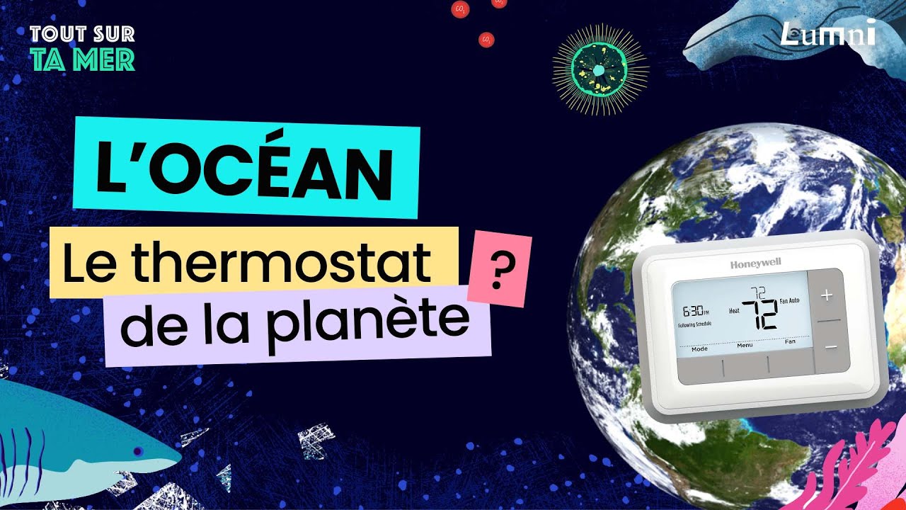 L’océan, thermostat de notre planète | Tout sur ta mer | Lumni