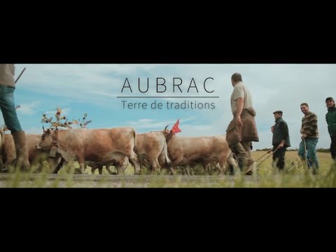 Aubrac, terre de traditions