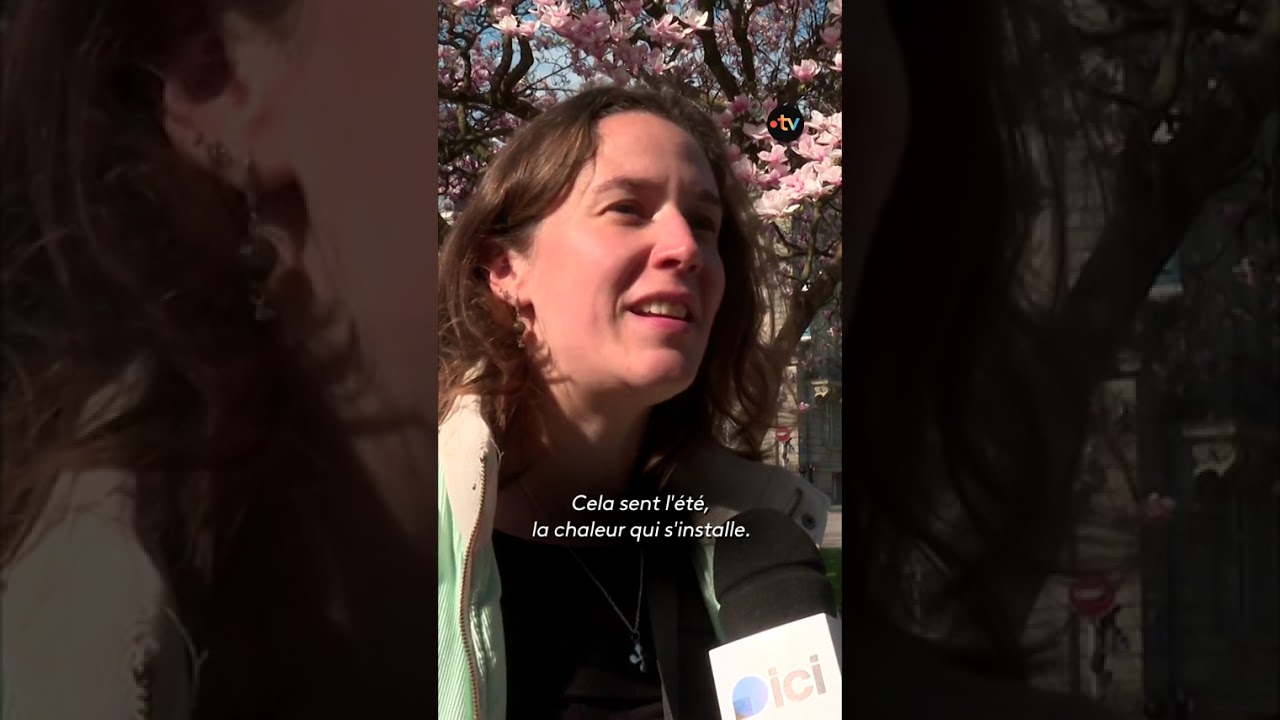 La magie du printemps avec les magnolias en fleurs